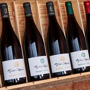 Frühstückspension Les Glycines - Domaine Gilles Coperet